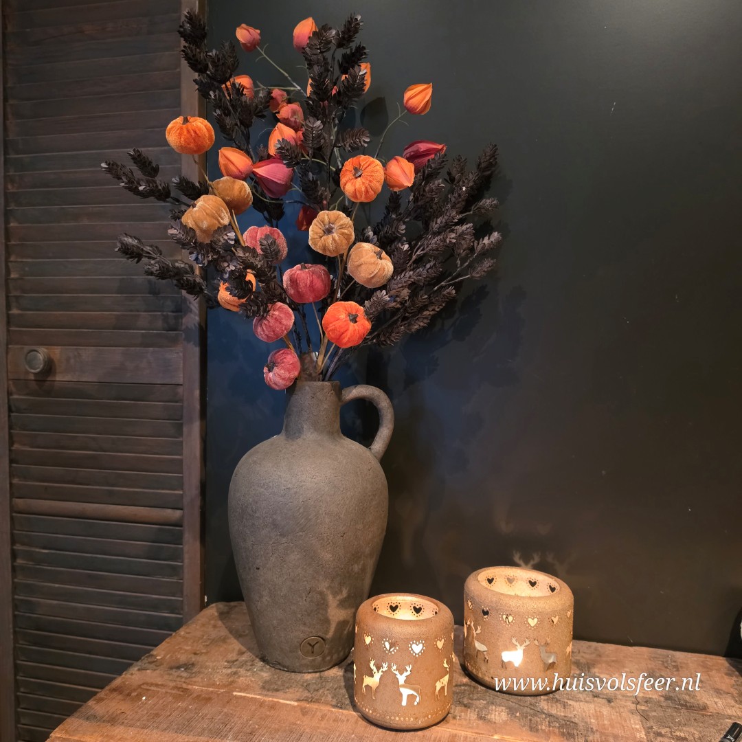 Pompoen Velvet Steker || Herfsttak - Afbeelding 5