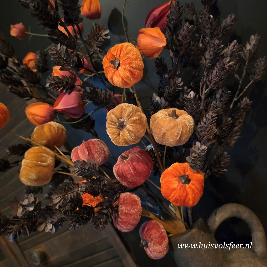 Pompoen Velvet Steker || Herfsttak - Afbeelding 6