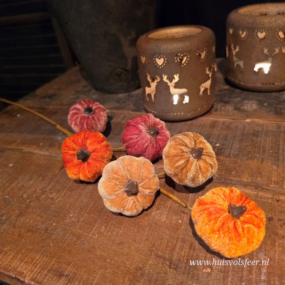 Pompoen Velvet Steker || Herfsttak - Afbeelding 3