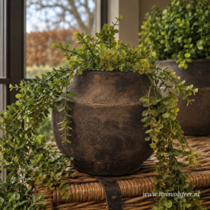 Planter Grandeur Neck M- Majestic Brown || Brynxz