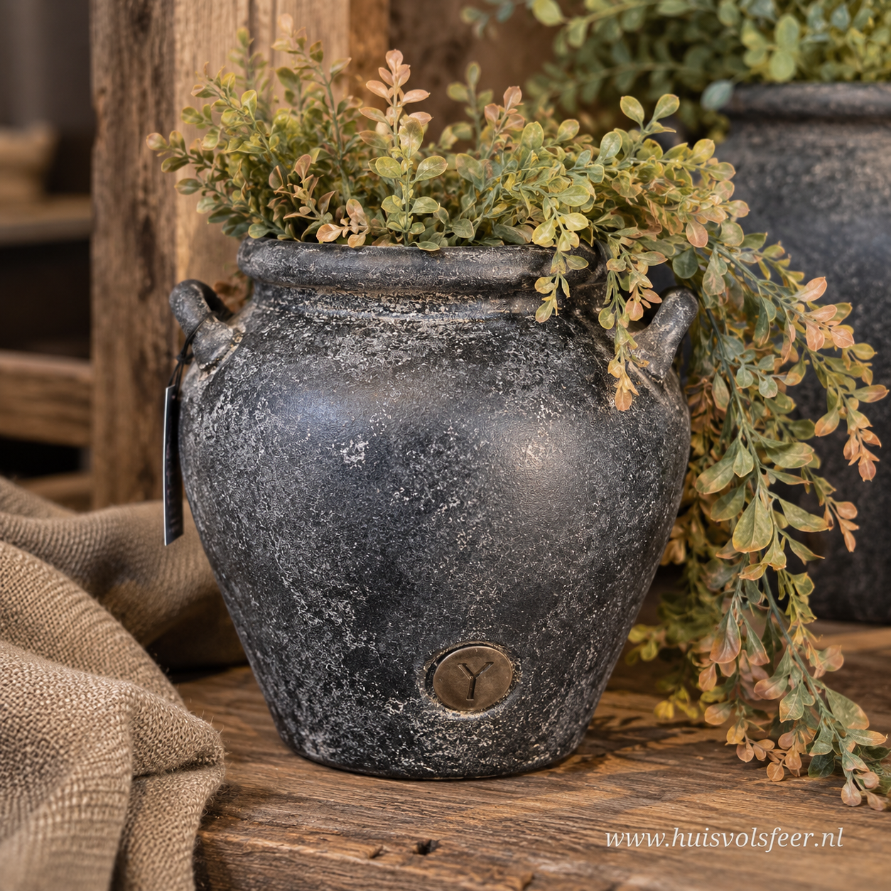 Planter Two Ears M- Basalt || Brynxz