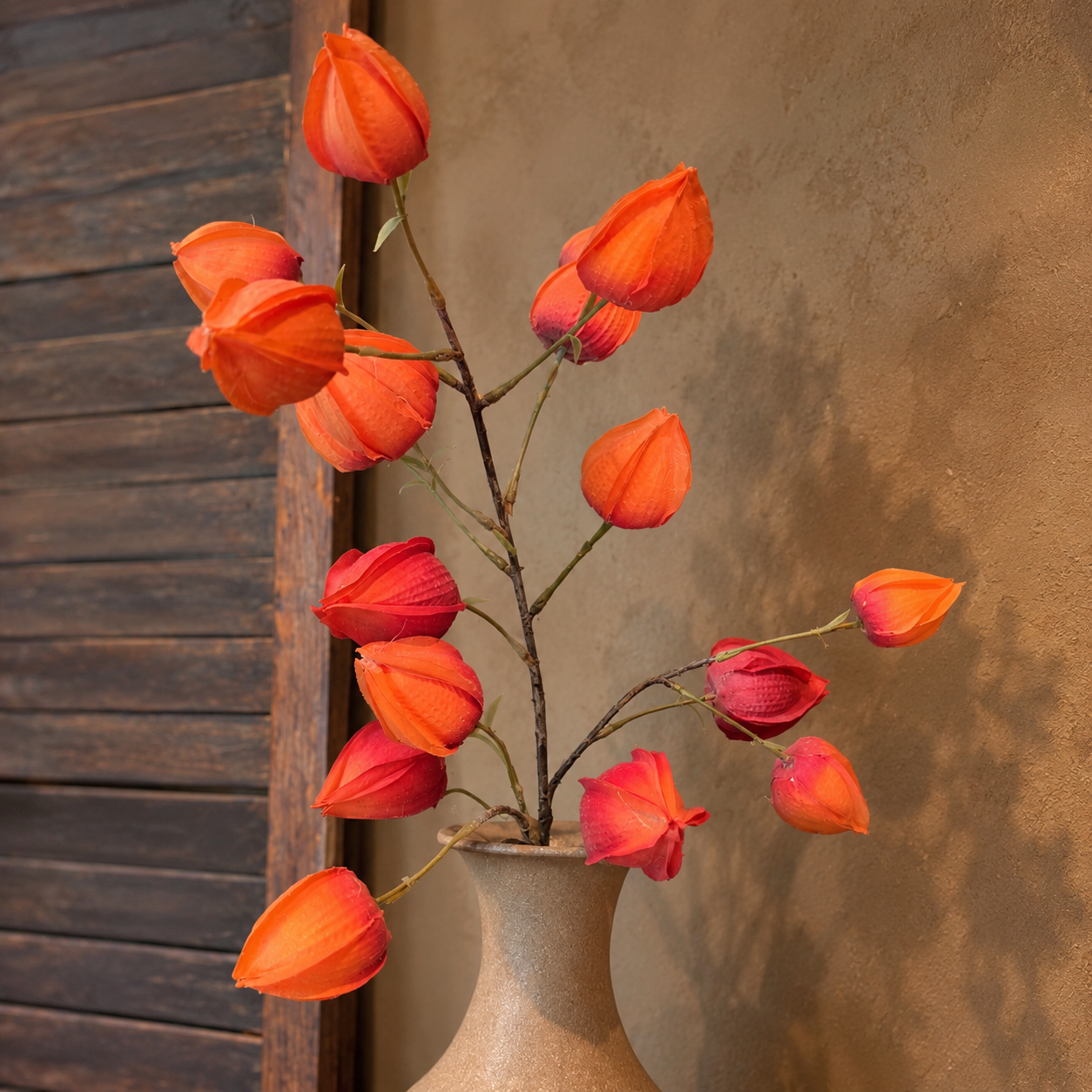 Lampion Tak (Physalis) || Herfst Zijdetak