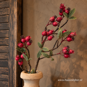 Malus Fructus Rozenbottel Rood- Zijdetak || Sylxz