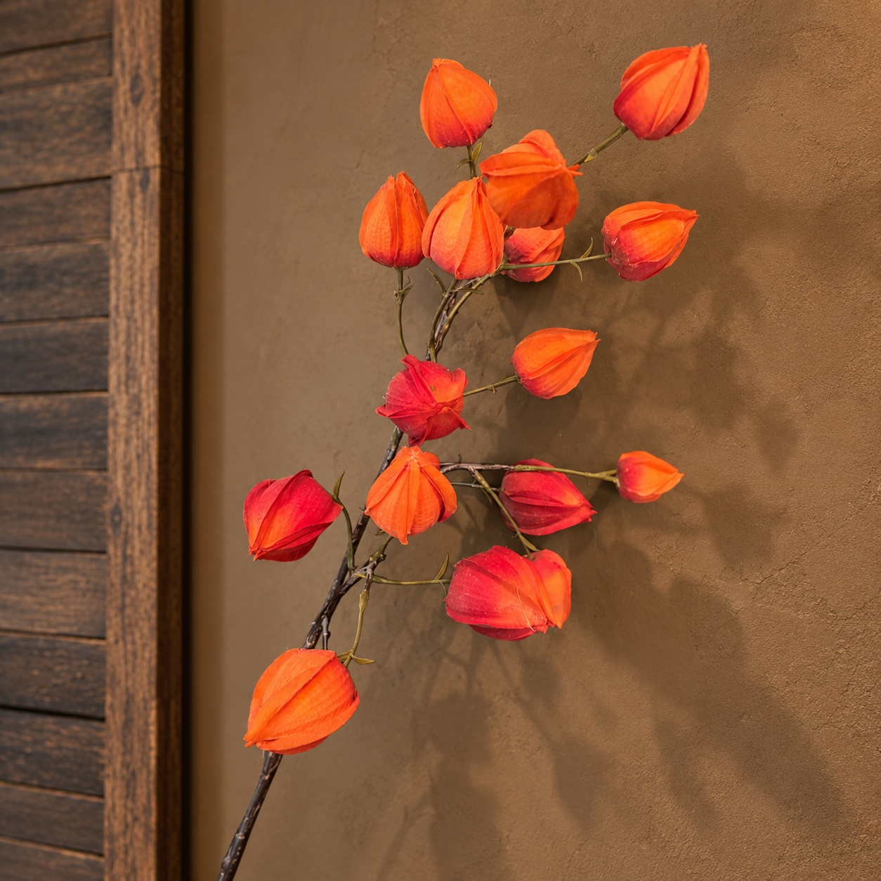 Lampion Tak (Physalis) || Herfst Zijdetak - Afbeelding 4