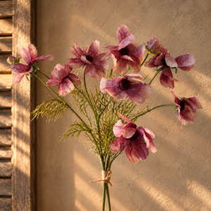 Cosmos Antique Pink- Zijdetak || Sylxz